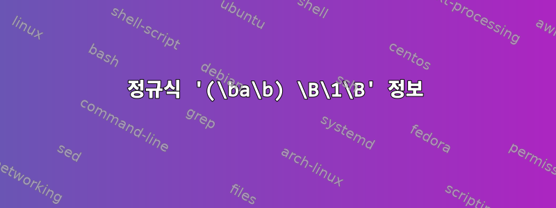 정규식 '(\ba\b) \B\1\B' 정보