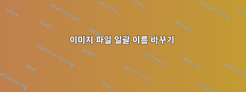 이미지 파일 일괄 이름 바꾸기