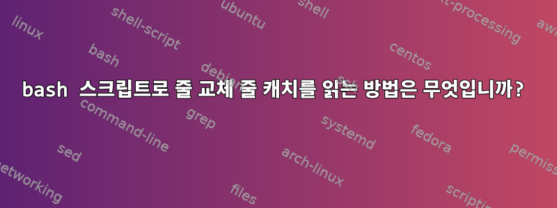 bash 스크립트로 줄 교체 줄 캐치를 읽는 방법은 무엇입니까?