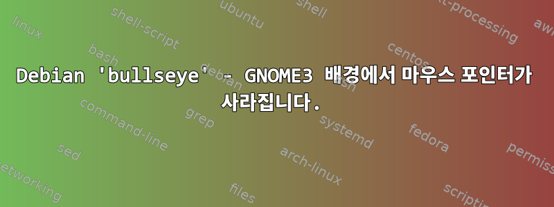 Debian 'bullseye' - GNOME3 배경에서 마우스 포인터가 사라집니다.