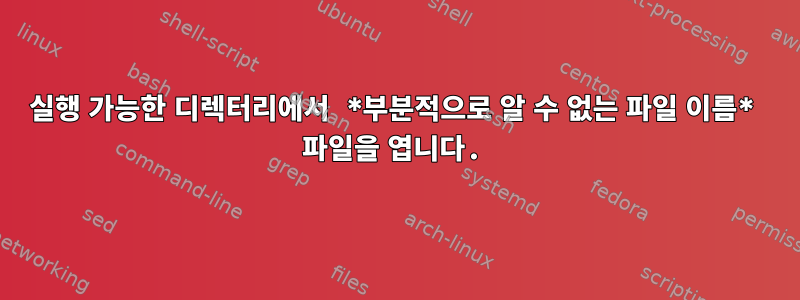 실행 가능한 디렉터리에서 *부분적으로 알 수 없는 파일 이름* 파일을 엽니다.