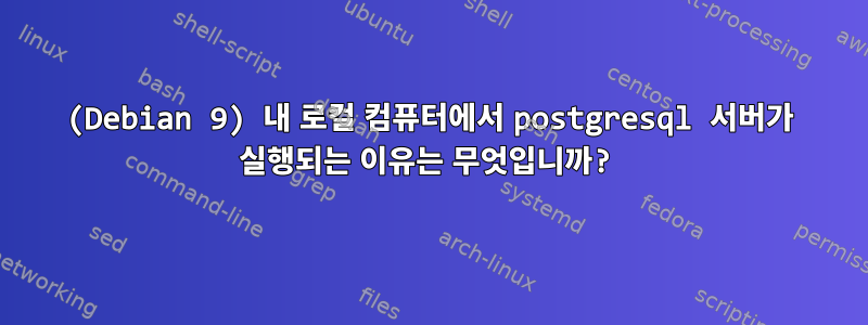 (Debian 9) 내 로컬 컴퓨터에서 postgresql 서버가 실행되는 이유는 무엇입니까?