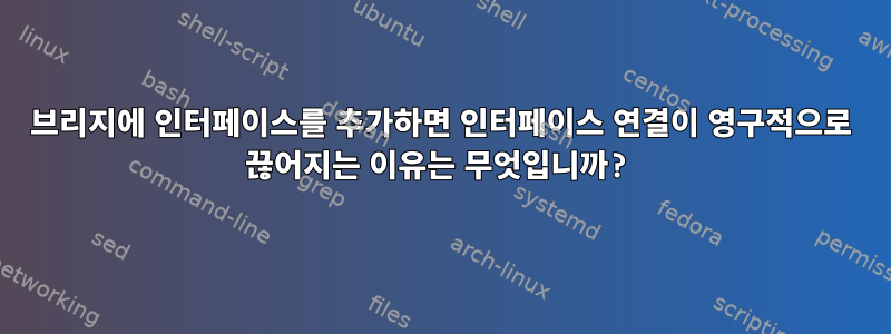 브리지에 인터페이스를 추가하면 인터페이스 연결이 영구적으로 끊어지는 이유는 무엇입니까?