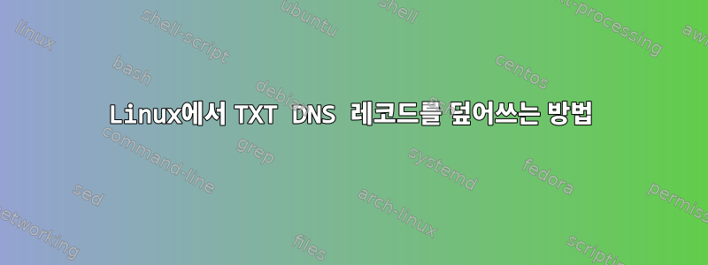 Linux에서 TXT DNS 레코드를 덮어쓰는 방법