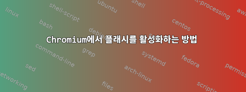 Chromium에서 플래시를 활성화하는 방법