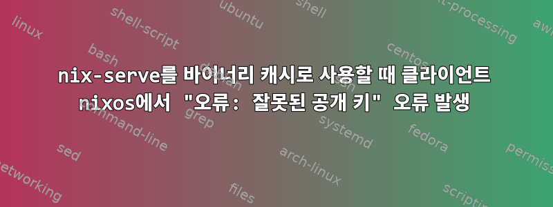 nix-serve를 바이너리 캐시로 사용할 때 클라이언트 nixos에서 "오류: 잘못된 공개 키" 오류 발생