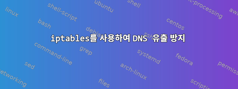 iptables를 사용하여 DNS 유출 방지