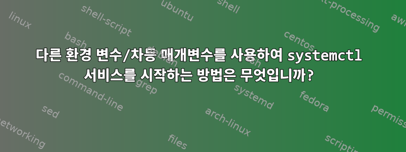 다른 환경 변수/차등 매개변수를 사용하여 systemctl 서비스를 시작하는 방법은 무엇입니까?