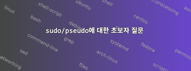 sudo/pseudo에 대한 초보자 질문