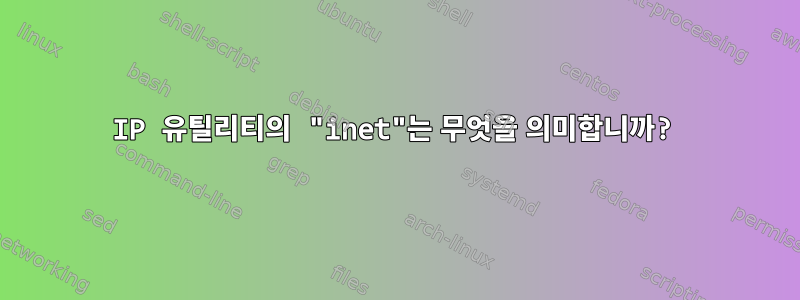 IP 유틸리티의 "inet"는 무엇을 의미합니까?