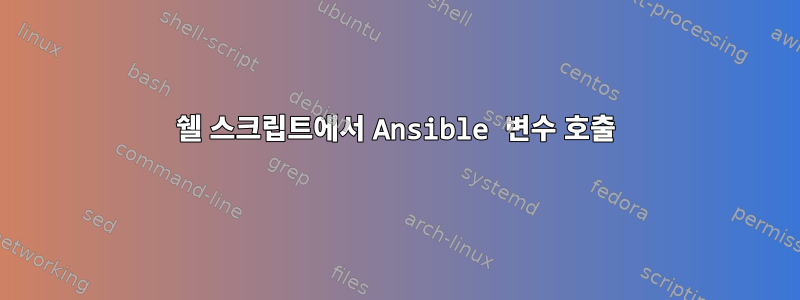 쉘 스크립트에서 Ansible 변수 호출