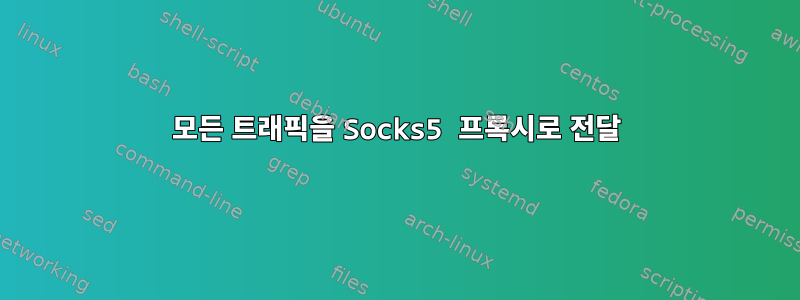 모든 트래픽을 Socks5 프록시로 전달