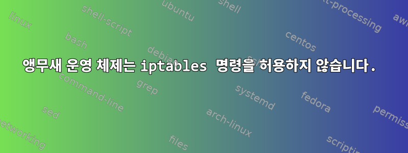 앵무새 운영 체제는 iptables 명령을 허용하지 않습니다.