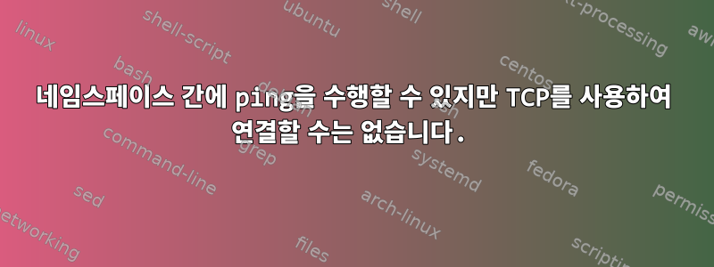 네임스페이스 간에 ping을 수행할 수 있지만 TCP를 사용하여 연결할 수는 없습니다.