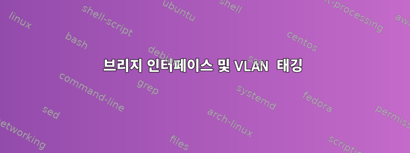 브리지 인터페이스 및 VLAN 태깅