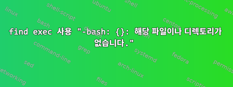 find exec 사용 "-bash: {}: 해당 파일이나 디렉토리가 없습니다."