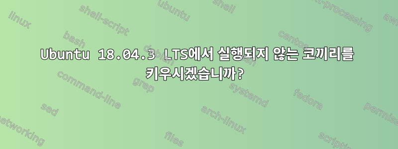 Ubuntu 18.04.3 LTS에서 실행되지 않는 코끼리를 키우시겠습니까?