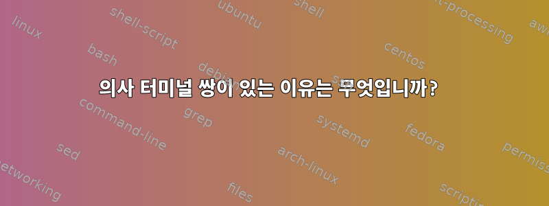 의사 터미널 쌍이 있는 이유는 무엇입니까?