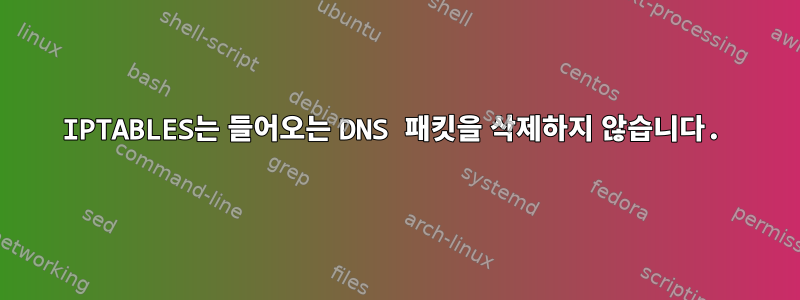 IPTABLES는 들어오는 DNS 패킷을 삭제하지 않습니다.