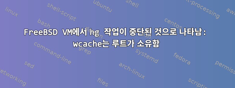 FreeBSD VM에서 hg 작업이 중단된 것으로 나타남: wcache는 루트가 소유함