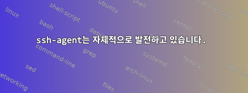 ssh-agent는 자체적으로 발전하고 있습니다.