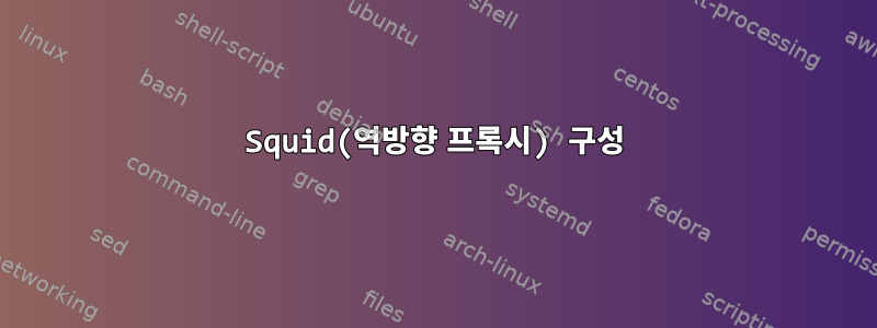 Squid(역방향 프록시) 구성