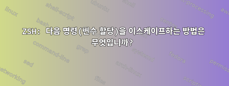 ZSH: 다음 명령(변수 할당)을 이스케이프하는 방법은 무엇입니까?