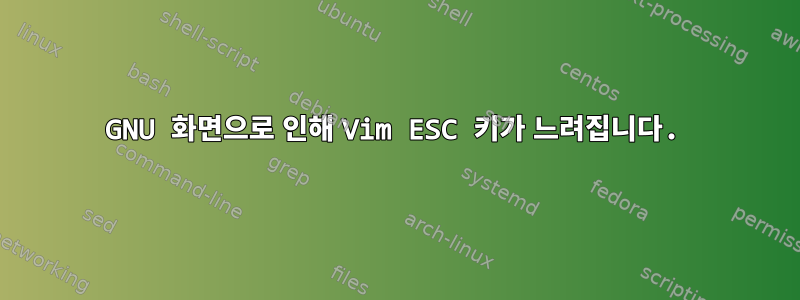 GNU 화면으로 인해 Vim ESC 키가 느려집니다.