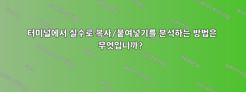 터미널에서 실수로 복사/붙여넣기를 분석하는 방법은 무엇입니까?