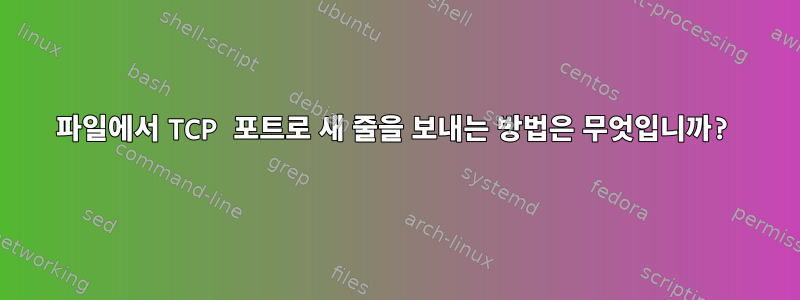 파일에서 TCP 포트로 새 줄을 보내는 방법은 무엇입니까?