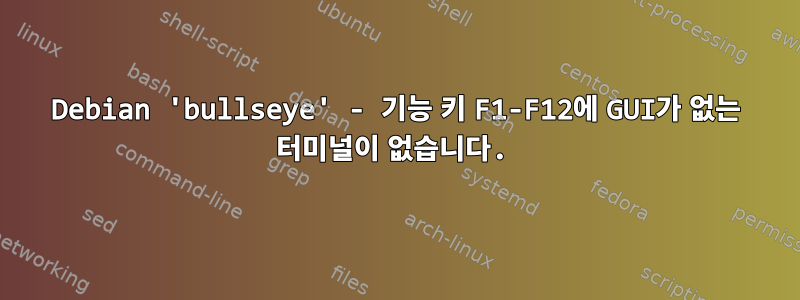 Debian 'bullseye' - 기능 키 F1-F12에 GUI가 없는 터미널이 없습니다.