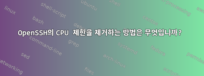 OpenSSH의 CPU 제한을 제거하는 방법은 무엇입니까?