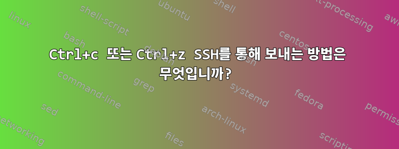 Ctrl+c 또는 Ctrl+z SSH를 통해 보내는 방법은 무엇입니까?