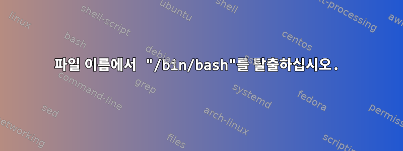 파일 이름에서 "/bin/bash"를 탈출하십시오.