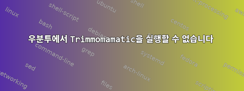 우분투에서 Trimmomamatic을 실행할 수 없습니다