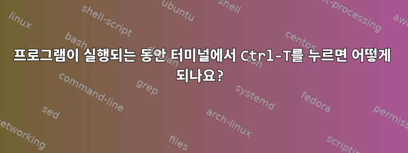 프로그램이 실행되는 동안 터미널에서 Ctrl-T를 누르면 어떻게 되나요?