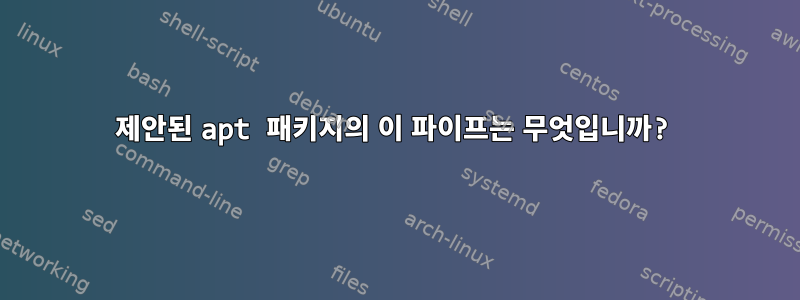 제안된 apt 패키지의 이 파이프는 무엇입니까?