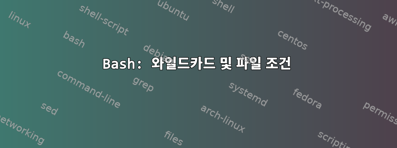 Bash: 와일드카드 및 파일 조건