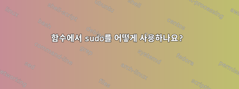 함수에서 sudo를 어떻게 사용하나요?