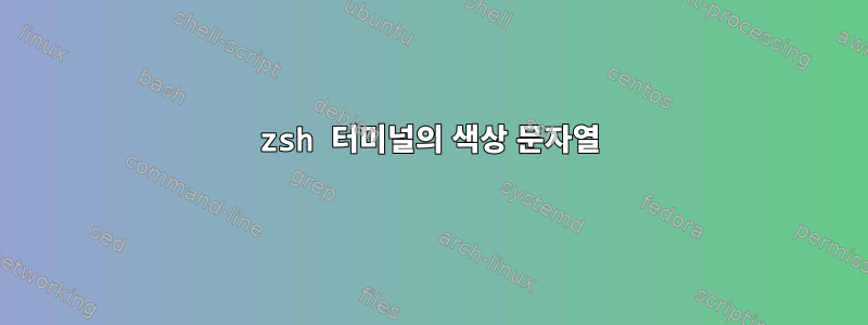 zsh 터미널의 색상 문자열