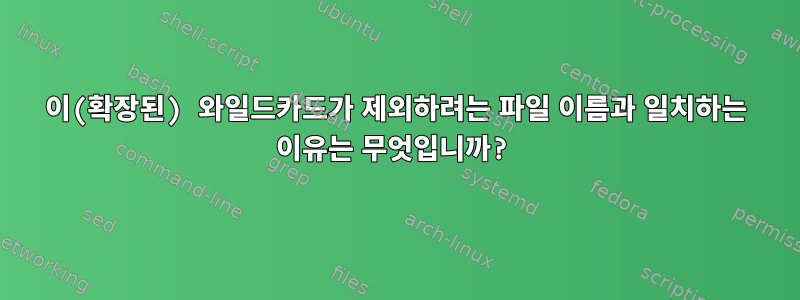 이(확장된) 와일드카드가 제외하려는 파일 이름과 일치하는 이유는 무엇입니까?