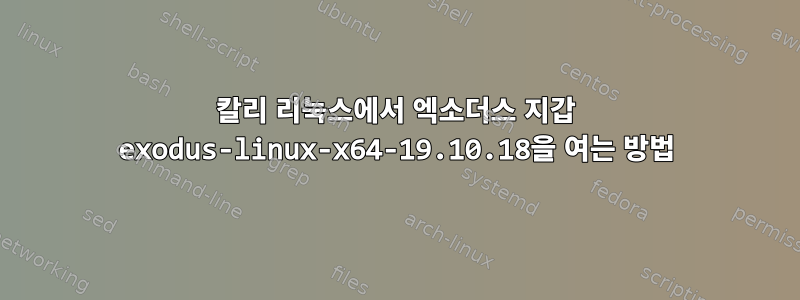 칼리 리눅스에서 엑소더스 지갑 exodus-linux-x64-19.10.18을 여는 방법