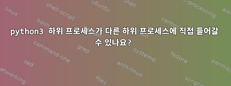 python3 하위 프로세스가 다른 하위 프로세스에 직접 들어갈 수 있나요?