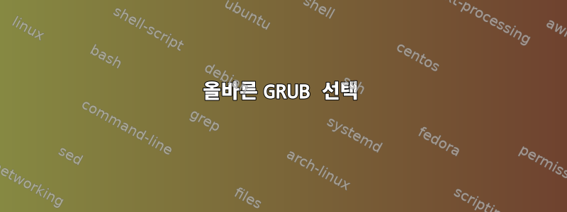 올바른 GRUB 선택