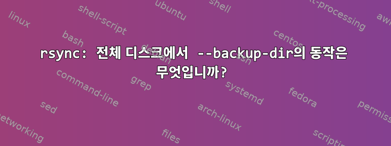 rsync: 전체 디스크에서 --backup-dir의 동작은 무엇입니까?