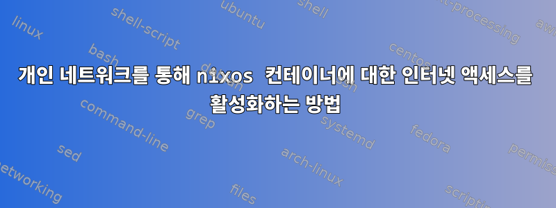 개인 네트워크를 통해 nixos 컨테이너에 대한 인터넷 액세스를 활성화하는 방법