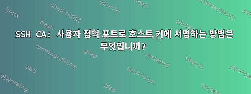 SSH CA: 사용자 정의 포트로 호스트 키에 서명하는 방법은 무엇입니까?