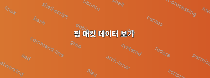 핑 패킷 데이터 보기