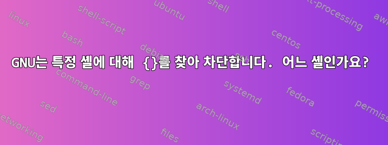 GNU는 특정 셸에 대해 {}를 찾아 차단합니다. 어느 셸인가요?