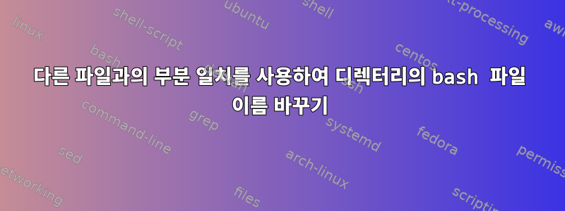 다른 파일과의 부분 일치를 사용하여 디렉터리의 bash 파일 이름 바꾸기